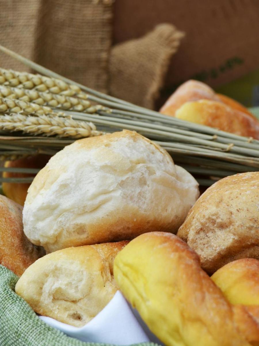 Predigt: Das Brot des Lebens (Johannes&nbsp;6,30-35)